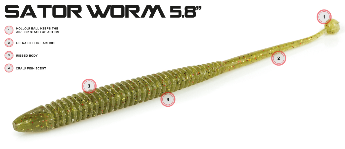 Sator Worm 5.8 - Molix